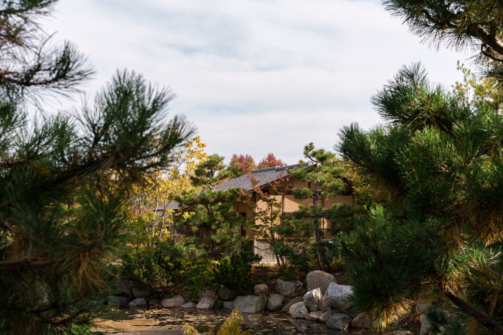 Pine branches frame a traditional Japanese teahouse across the pond within the landscaped gardens of Frederik Meijer Gardens.