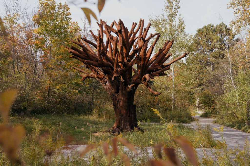 Ai Weiwei's monumental Iron Tree sculpture, assembled from cast metal branches, stands among living trees and autumn foliage.