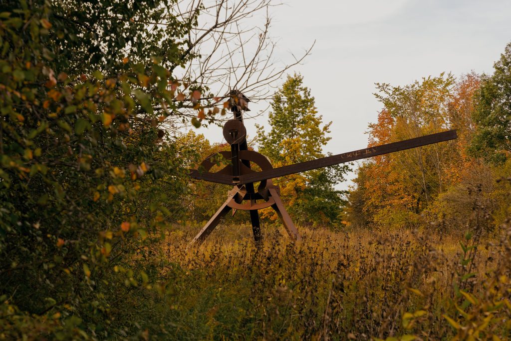 Rust-colored steel beams from Mark di Suvero's Scarlatti emerge through dense foliage and tall autumn grasses.